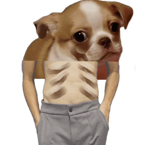 D.O.G.E. Meme_Fx