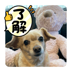 saikou8787