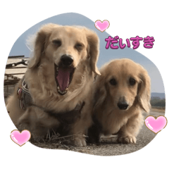 kana_20250123132322