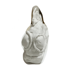 Mei_20250122192524