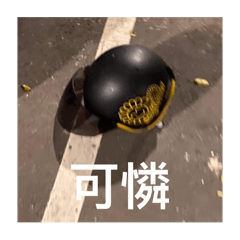 小凃日記-第五彈來囉！
