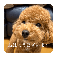 Yuna_20250123135019