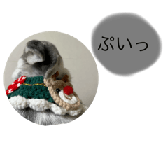 mana_20250123001843