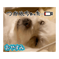 Hitomi_20250122230015