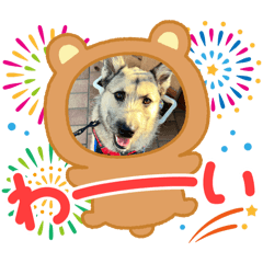 leon_20250123144322