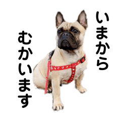 GANGUROISHITSUBUTE_20250123151208