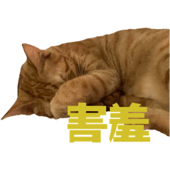 聽我 咪 Fa So