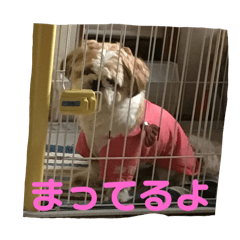 MINATO_20250123162952