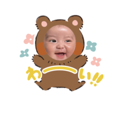 coco_20250123165713