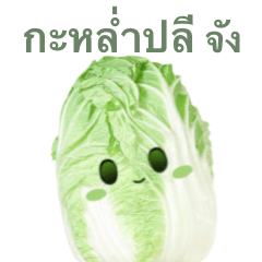 Chinese cabbage chan 4