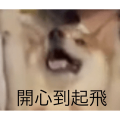 Taro 721