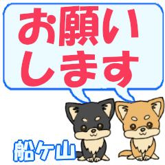 Funagayama's letters Chihuahua2