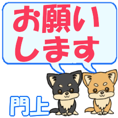 Kamiue's letters Chihuahua2