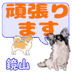 Kagamiyama's letters Chihuahua