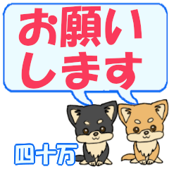 Shijima's letters Chihuahua2