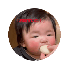 miki_20250123145630