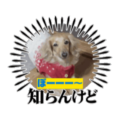 yuko_20250123184453