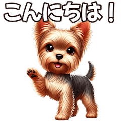 Adorable Yorkshire Terrier Adventures!