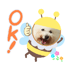 你ok我也ok