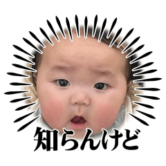 kaede_20250123185718