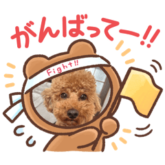 Momoka_20250123190418