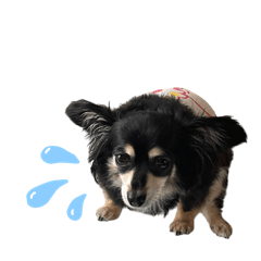 yuki_20250123190217