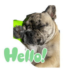 kazuki_20250123191529