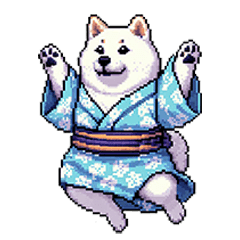 new year white fat shiba dog re