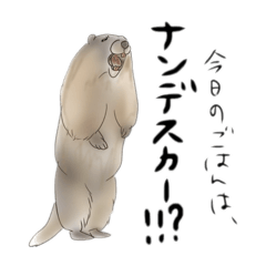 hemhemjp_20250123191833
