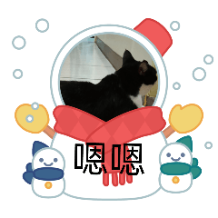 135我愛貓貓
