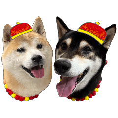 Shiba Inu-Wish you a happy new year