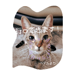 wakarisu_20250123174251