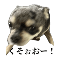 gon_20250123204013
