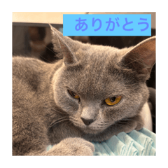 Yuto_20250123175619