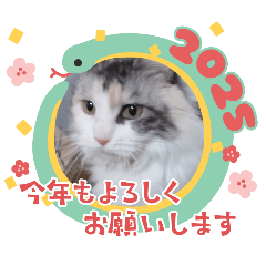 hana_20250123223503
