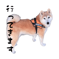 mm_20250123183523