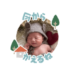 shiro_20250123193000
