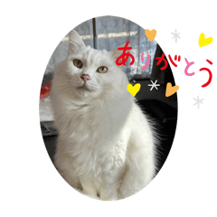 natsu_20250123230750