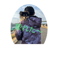 KAORI_20250123211308