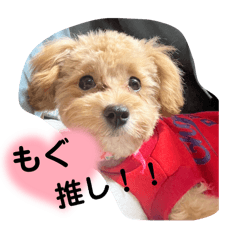 moguchichan