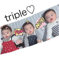 mie_20250124005132