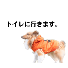 MM_20250124113444