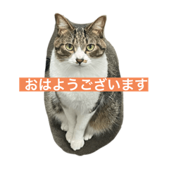 yuki_20250124115514