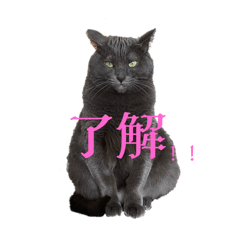 hana_20250124114446