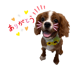 Ruby_20250123214852