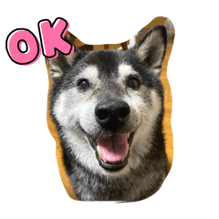 KOUSUKE shiba