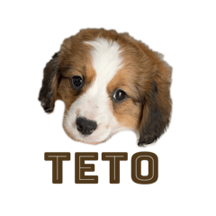 panko_20250123233349