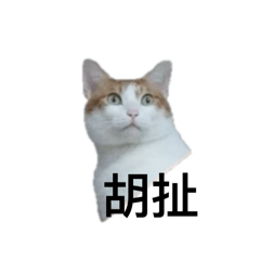 你不要再胡扯囉