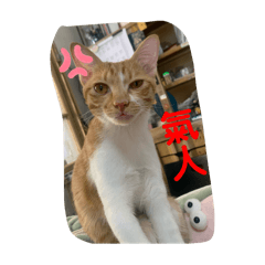 牛奶情緒圖