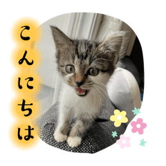 yuka_tsumire